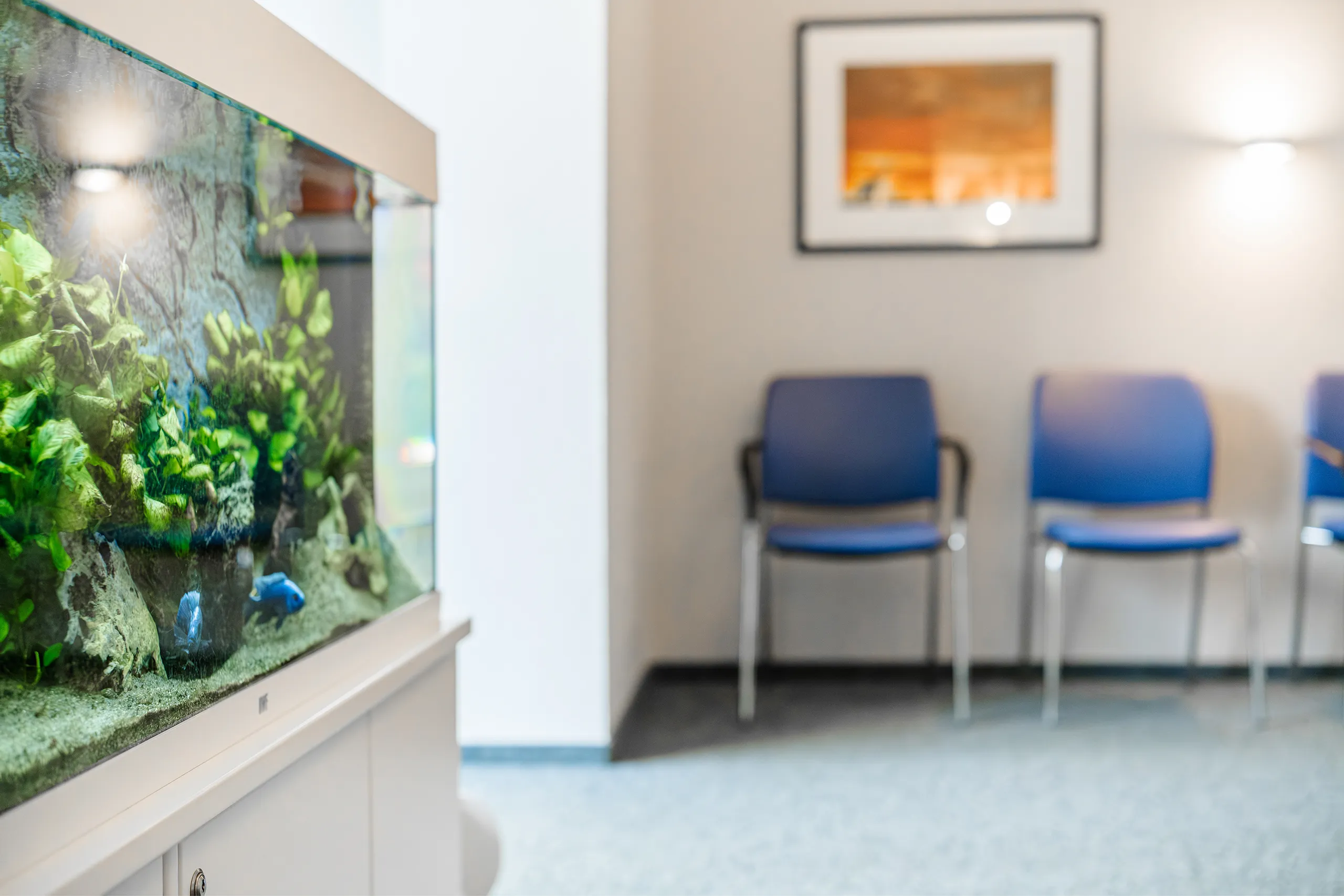 In einem Warteraum steht links ein beleuchtetes Aquarium mit Fischen und Pflanzen. Rechts sind zwei leere blaue Stühle. Im Hintergrund hängt ein gerahmtes Bild an der Wand. Der Raum ist hell erleuchtet.