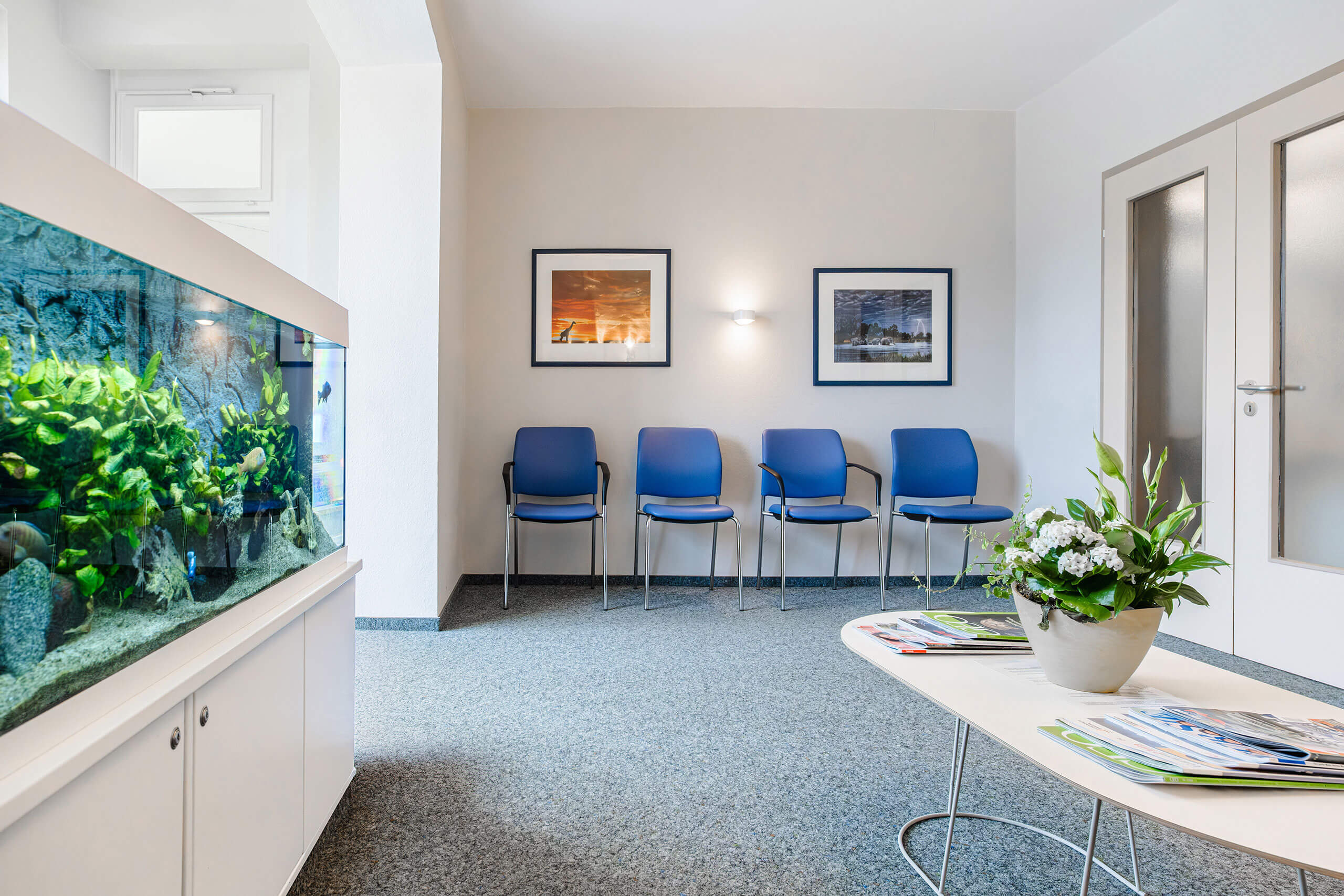 Heller Wartebereich mit fünf blauen Stühlen an der Wand, zwei Landschaftsfotos darüber. Links ein großes Aquarium mit Fischen und daneben ein Tisch mit Zeitschriften und einem Blumenarrangement. Türen und Fenster befinden sich im Raum.